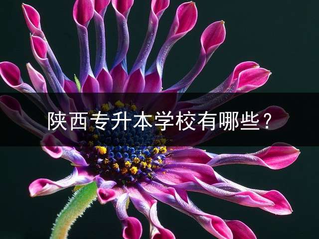 陕西专升本学校有哪些？ 陕西升本考几门？