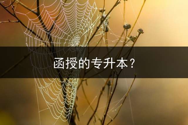 函授的专升本？ 成考专升本，如何解政治试题？