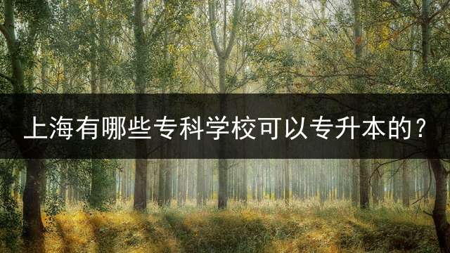 上海有哪些专科学校可以专升本的？ 上海专升本需要什么条件？