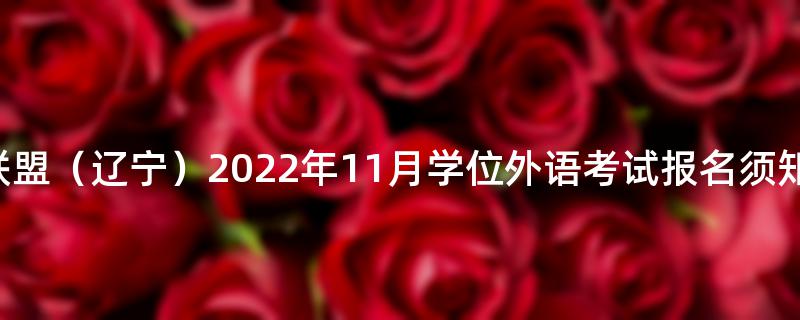 高校联盟（辽宁）2022年11月学位外语考试报名须知