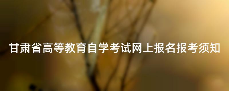 甘肃省高等教育自学考试网上报名报考须知